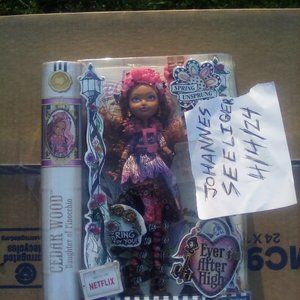 EAH Ever After High Spring Unsprung Cedar Wood Fashion Doll Girl Toy